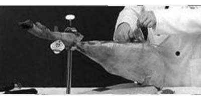 Jamon. Cortar el jamón. Paso 2.