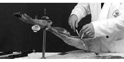 Jamon. Cortar el jamón. Paso 4.