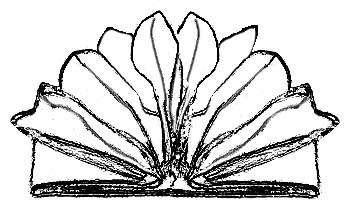 Imagen Protocolo & Etiqueta. Corona Diadema. Doblar servilletas. Doblado artístico.