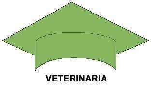 Colores y titulaciones universitarias. Colores Universitarios. Beca verde mar. Veterinaria