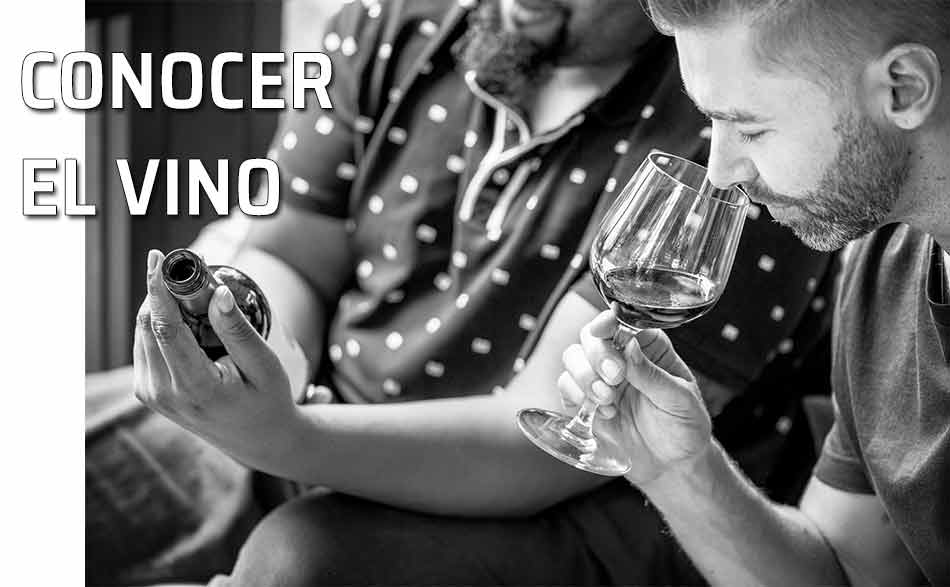 Conocer el vino. Degustar y conocer el vino