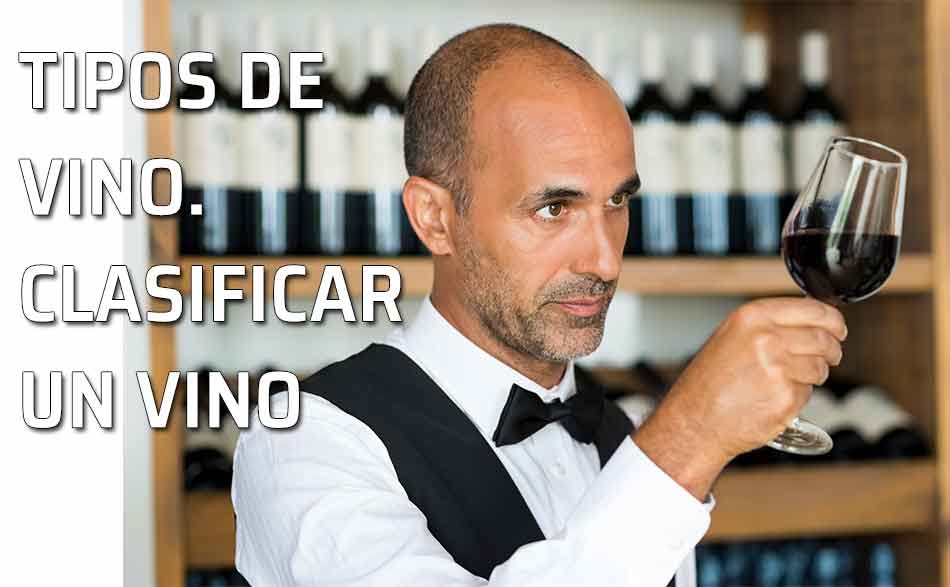 Tipos de vino y clasificación. Clasificación de los tipos de vino según sus características