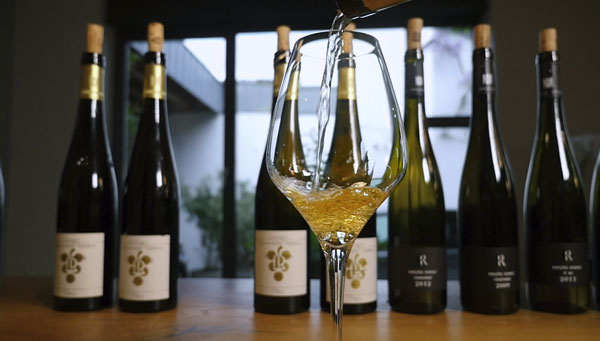 Vino Joven. Vinos del año, o vinos de cosecha. Vinos jóvenes sin maduración en bodegas.