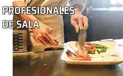 Icono profesional de sala Sirviendo un plato, profesional de sala