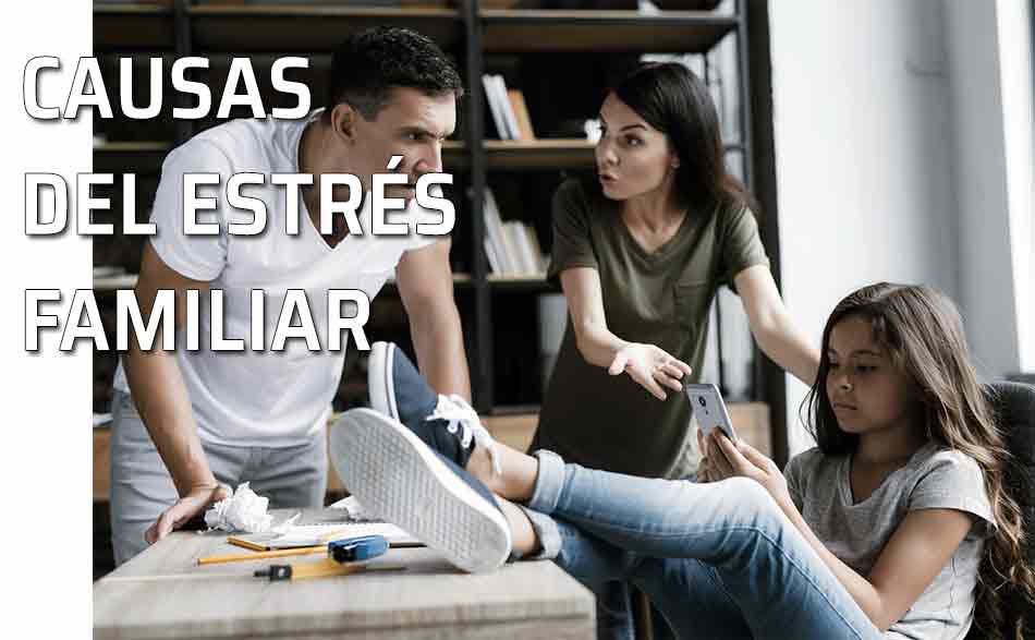 Estrés familiar. Discusión familiar