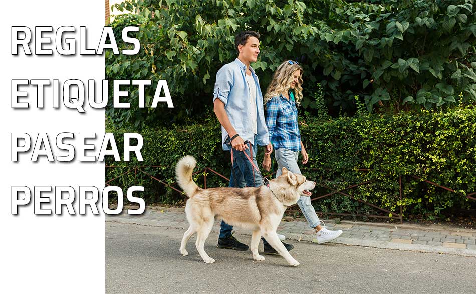 Pareja pasea su perro por su urbanización