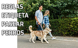 Pareja pasea su perro por su urbanización