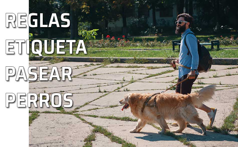 Un hombre pasea a su perro por el parque