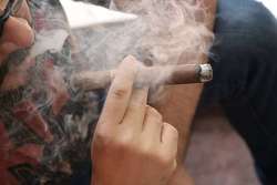 Furmar puro Fumar puro habano