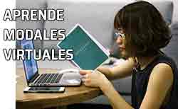 Icono modales virtuales Chica leyendo al ordenador