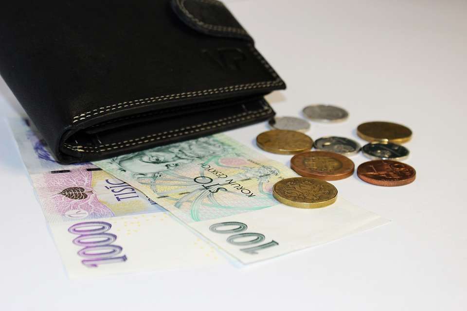 Cartera con dinero