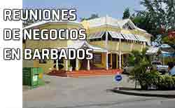 Icono negocios en Barbados Tienda en barbados. Negocios en Barbados