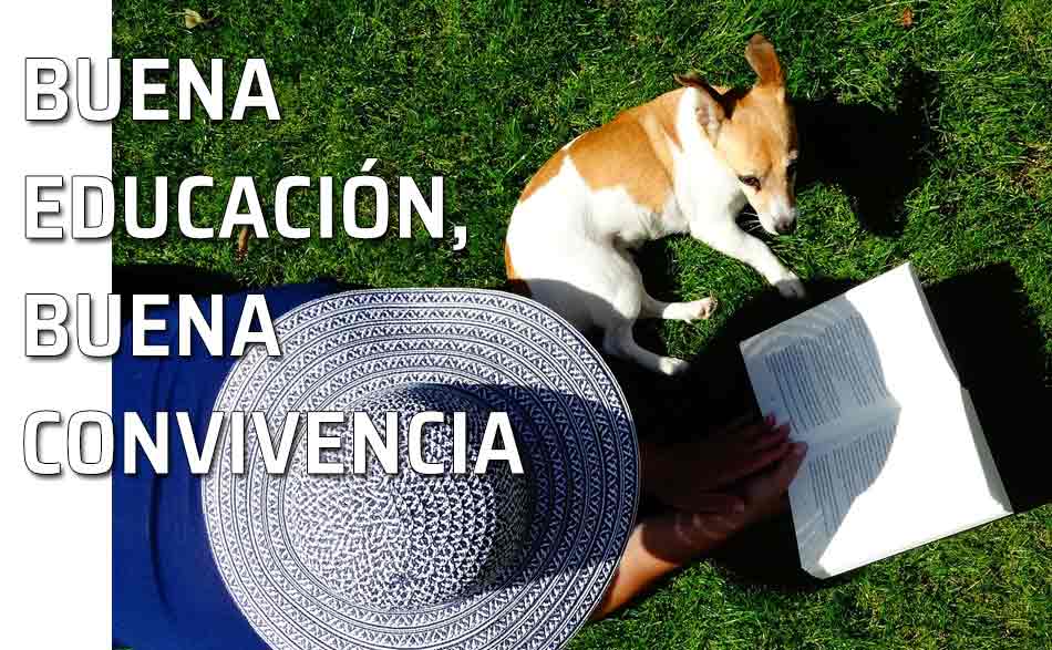 Citas buena educación. Mujer leyendo. La importancia de la buena educación para una buena convivencia
