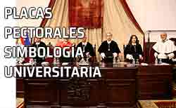 Icono placas pectorales universidad Las placas pectorales. Simbología Universitaria. Inauguración Curso Universitario - Salamanca