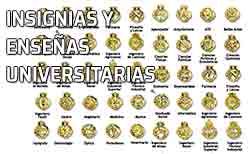 Icono insignias y enseñas universitarias Insignias de las carreras universitarias. Estudios universitarios y su correspondiente insginia