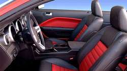Coche. Interior de un coche.