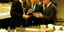 Negocios Reunión de negocios.