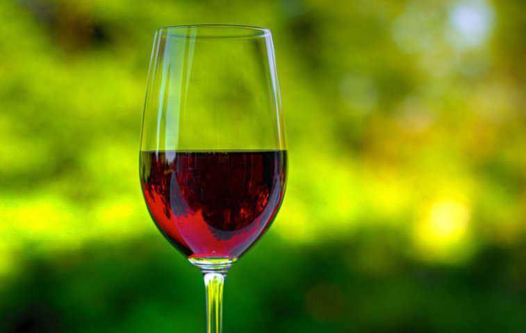 Vino. Copa de vino tinto