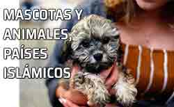 Icono, Islam mascotas y animales Perrito en manos de su dueña