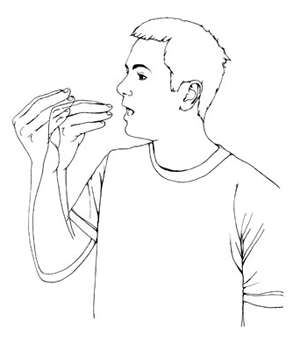 Vamos a comer. Tengo hambre quiero comer