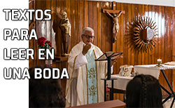 Icono Textos para leer en una boda Un sacerdote lee varios textos de la Biblia