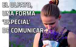 Icono olfato y comunicación El poder del olfato y sus asociaciones